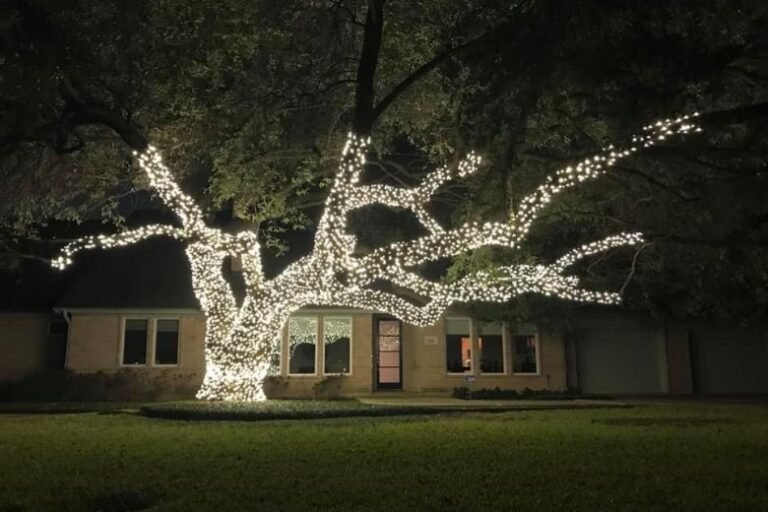 christmas-light-installation-services-in-braselton-ga-001
